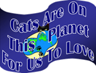 This inexpensive green and blue graphic looks awesome 
						on your hoodies, hoody, infants and infant clothing, as well as maternity clothes.